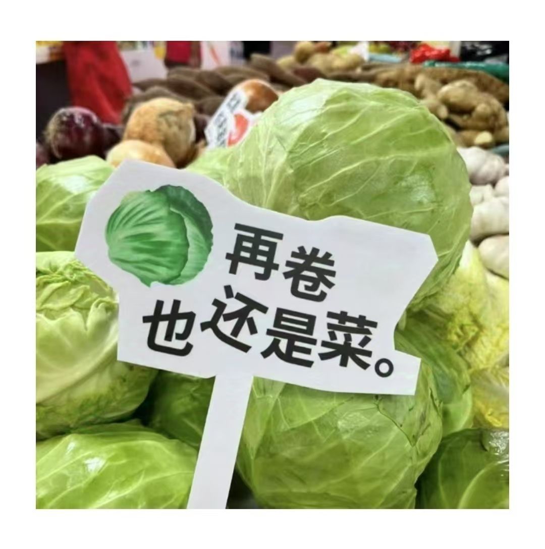 卷心菜