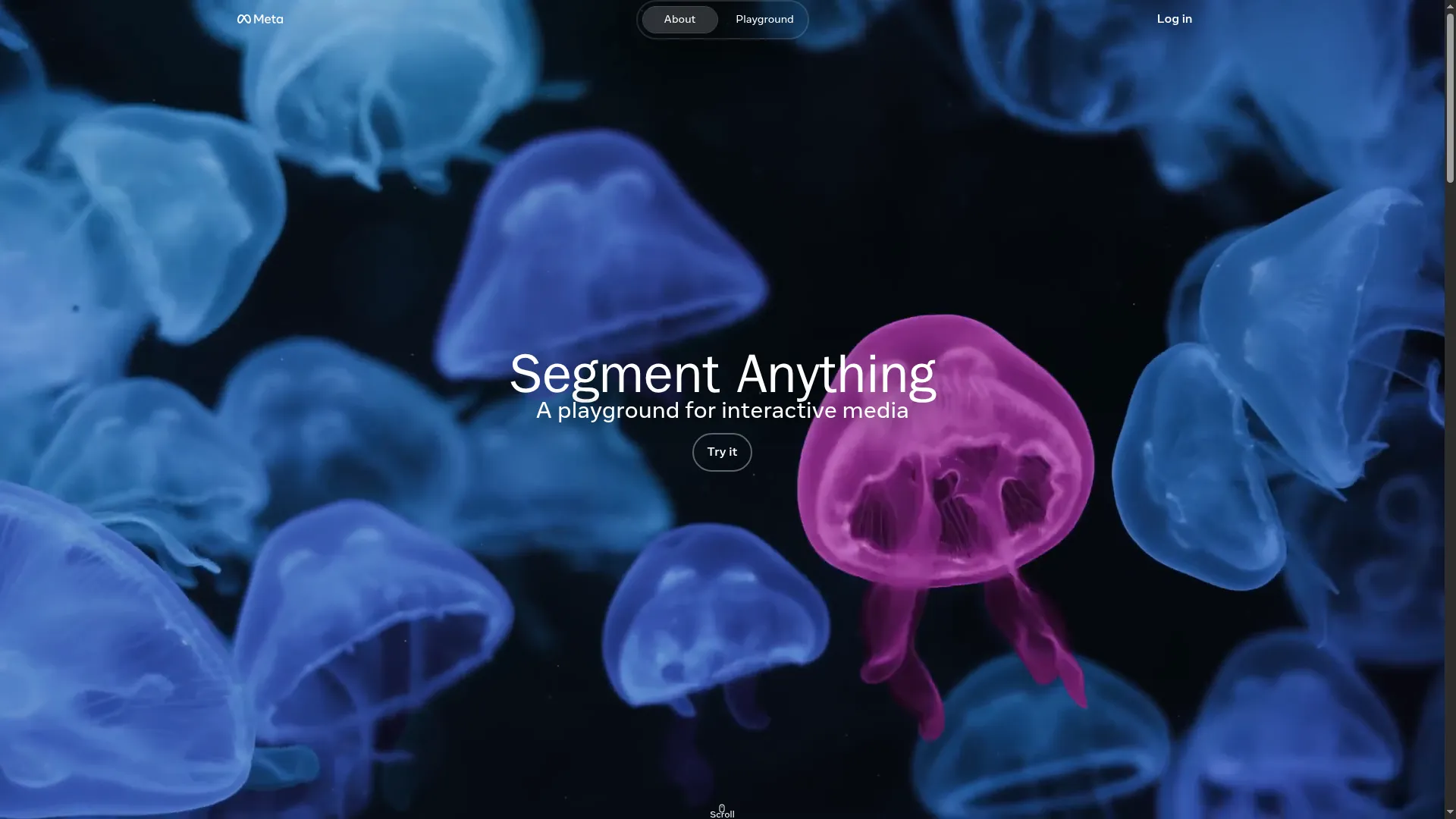 Segment Anything（SAM）