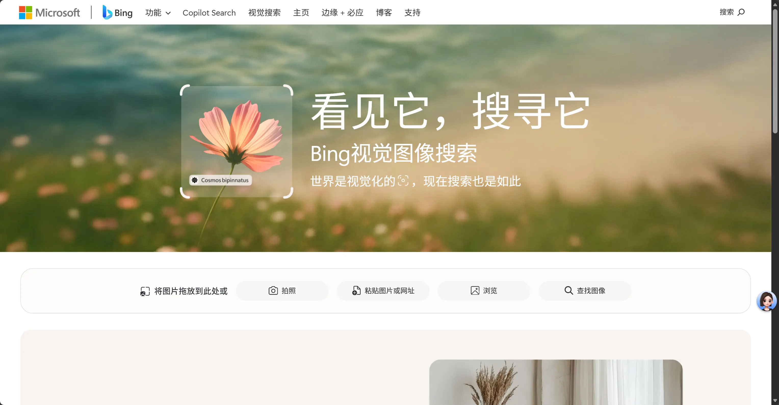 必应免费视觉搜索 截图