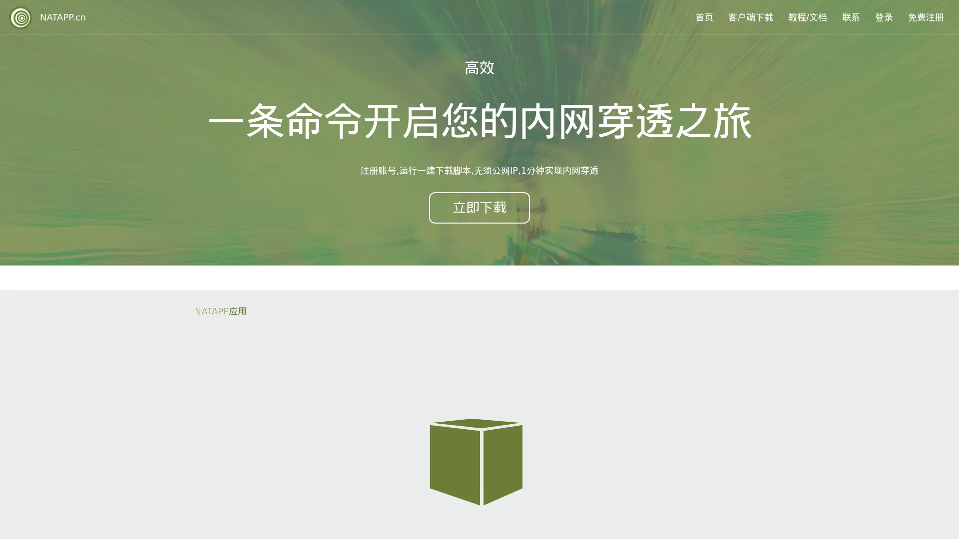 NATAPP-内网穿透 基于ngrok的国内高速内网映射工具 screenshot