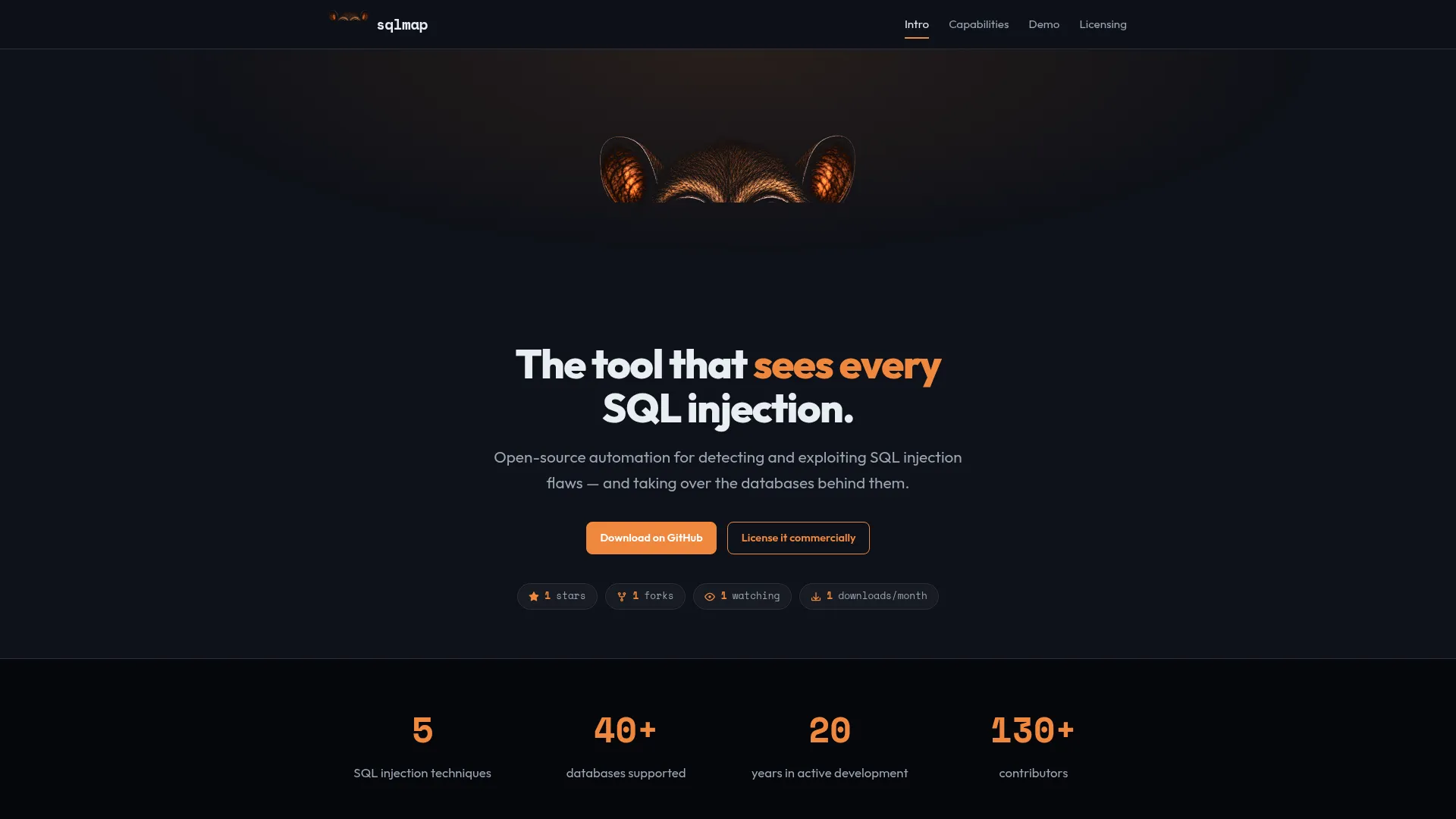 sqlmap: automatic SQL injection and database takeover tool screenshot