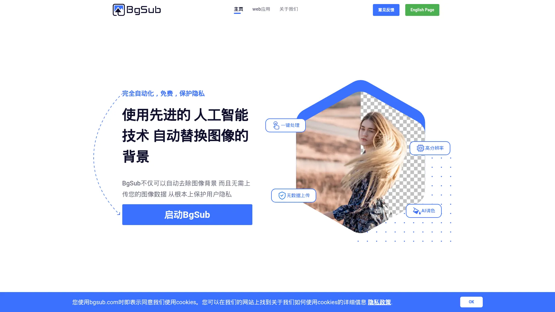 BgSub screenshot