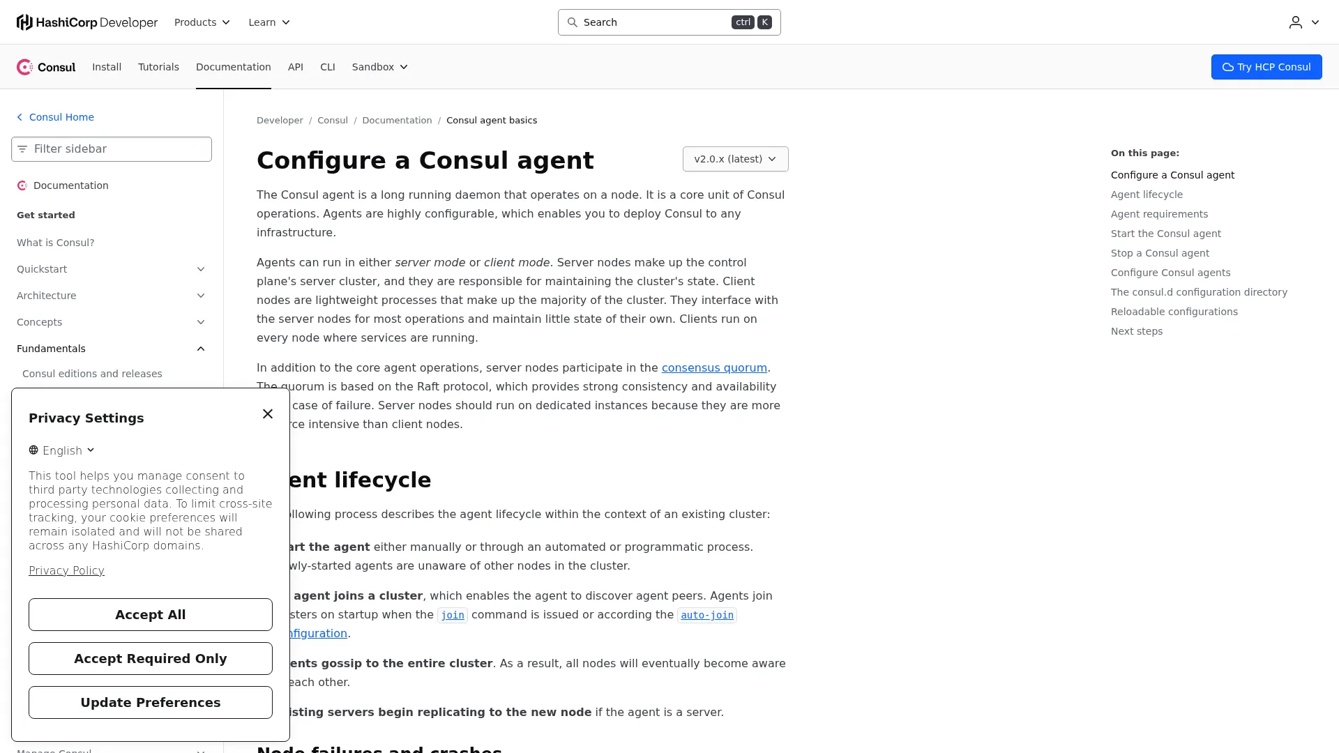 Agent | Consul by HashiCorp screenshot